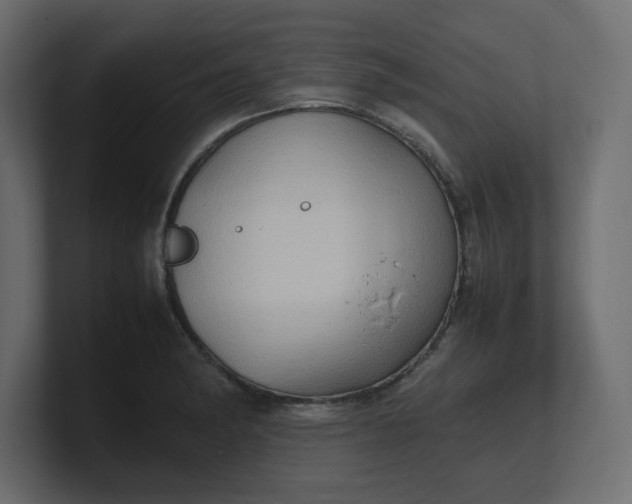 X0000100481182200806271156