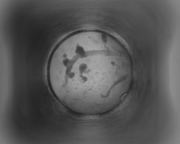 X0000100481183200806271156
