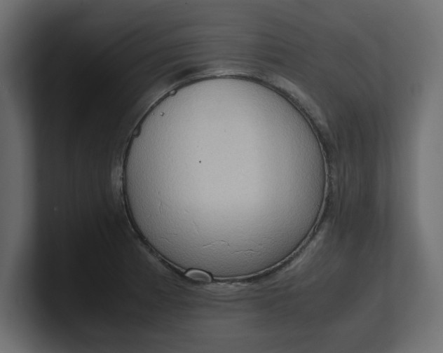 X0000100481185200806271156