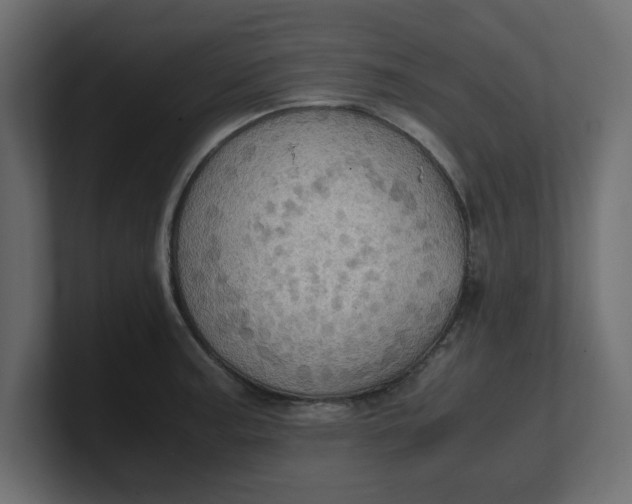 X0000100481187200806271156
