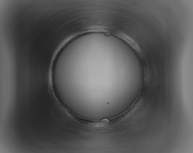 X0000100481188200806271156