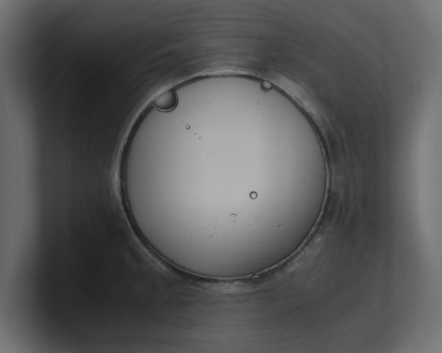 X0000100481189200806271156