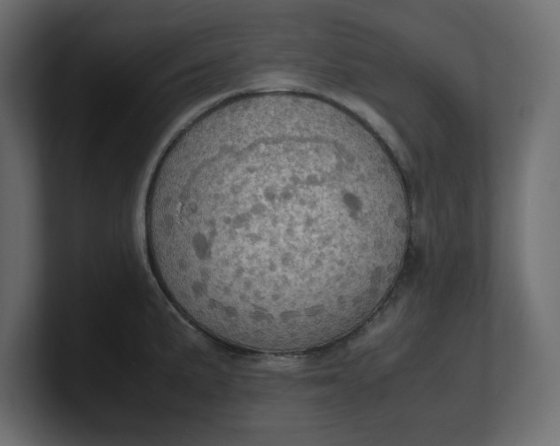 X0000100481191200806271156