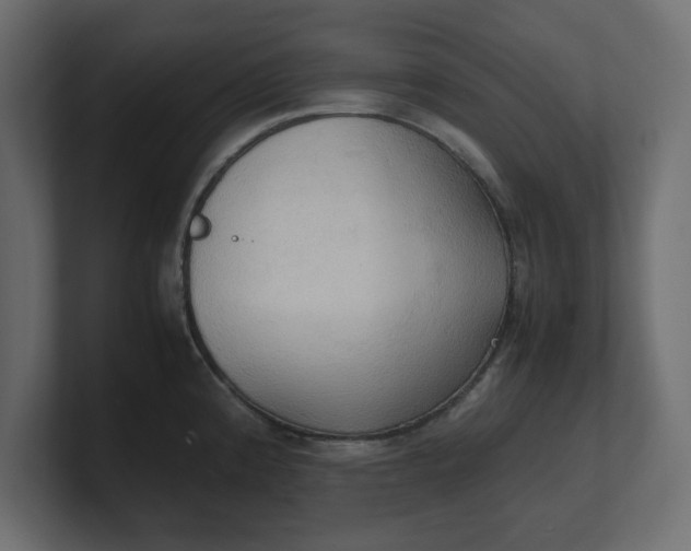 X0000100481192200806271156