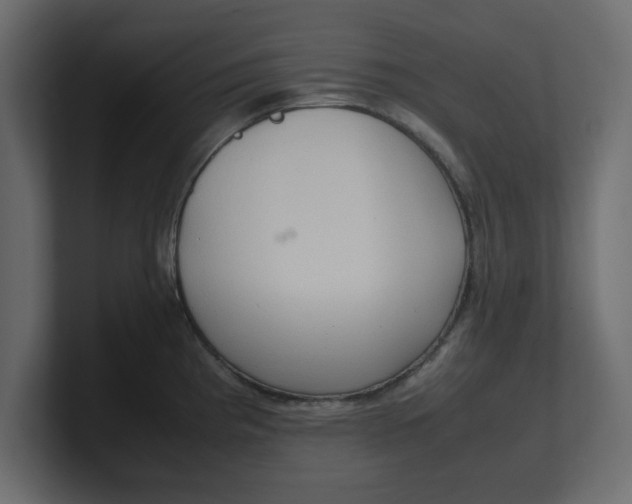 X0000100481193200806271156