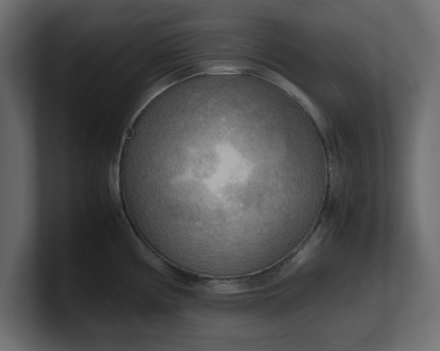 X0000100481194200806271156