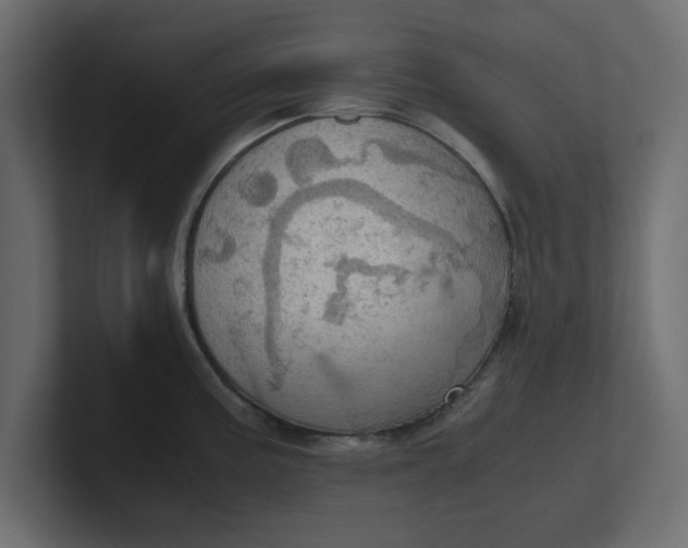 X0000100481195200806271156