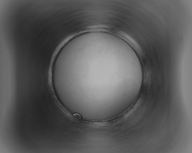 X0000100481196200806271156