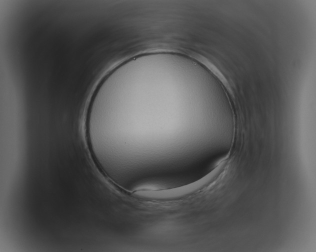 X0000100481197200806271156