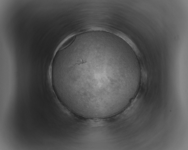 X0000100481198200806271156