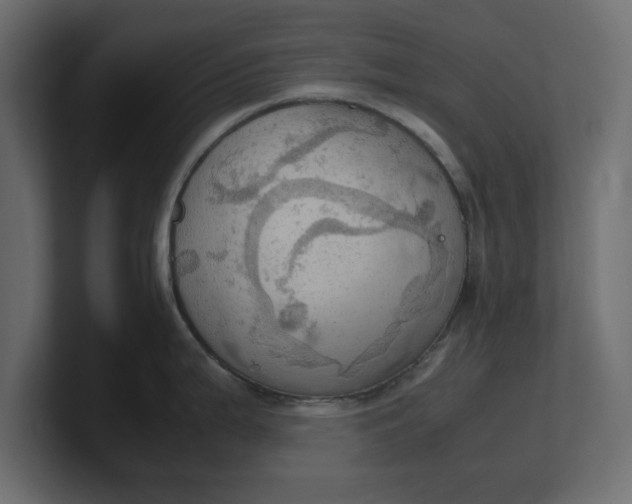 X0000100481199200806271156