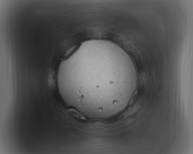 X0000100481202200806271155