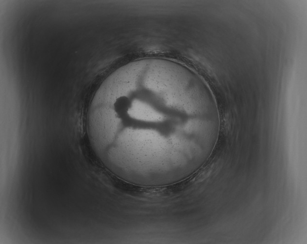 X0000100481205200806271155