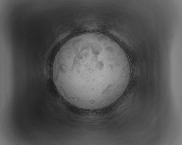 X0000100481207200806271155