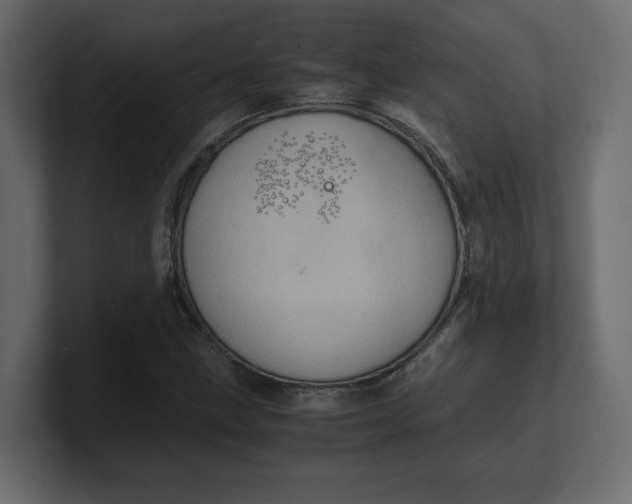 X0000100481211200806271155