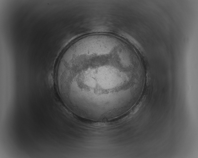 X0000100481212200806271155