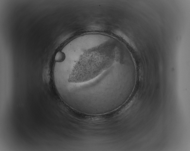 X0000100481213200806271155