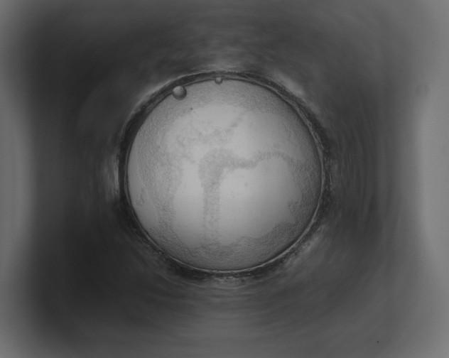X0000100481214200806271155