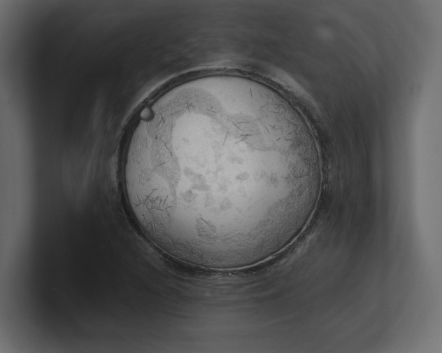 X0000100481216200806271155