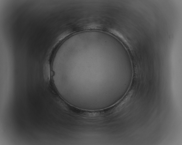 X0000100481219200806271155