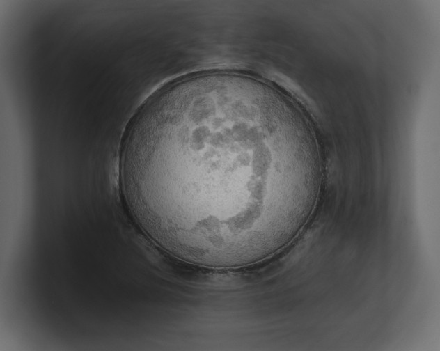 X0000100481220200806271155