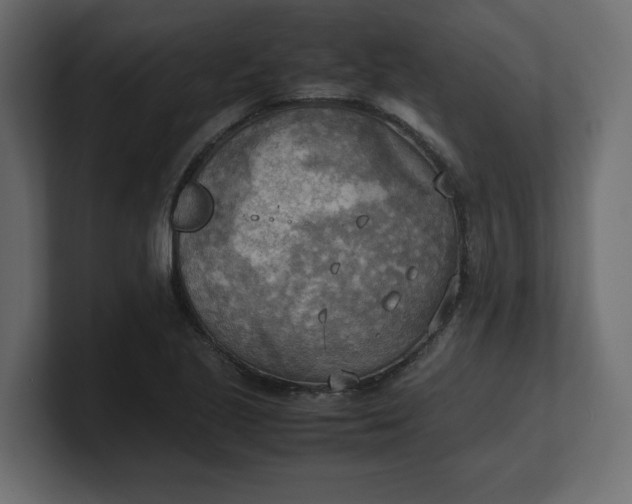X0000100481221200806271155