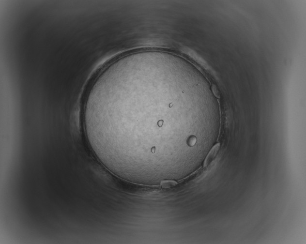 X0000100481222200806271155