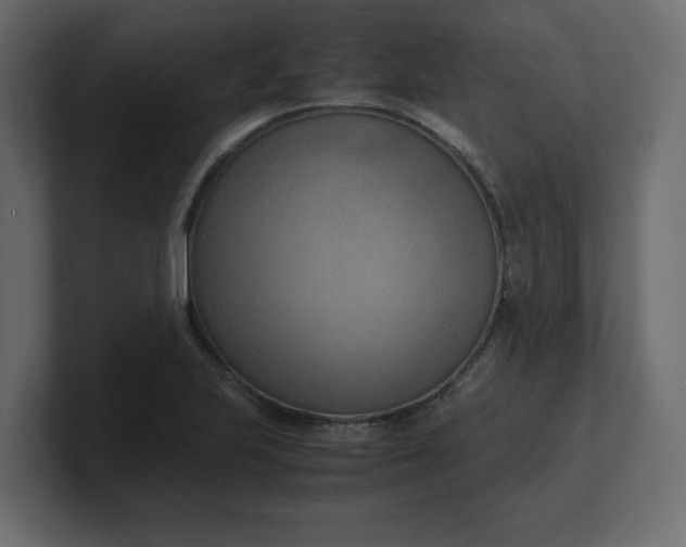 X0000100481223200806271155