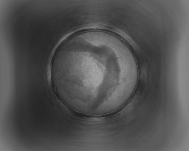 X0000100481224200806271155