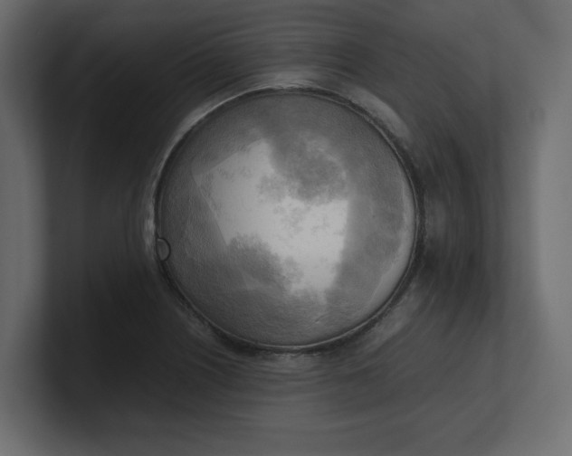 X0000100481226200806271155