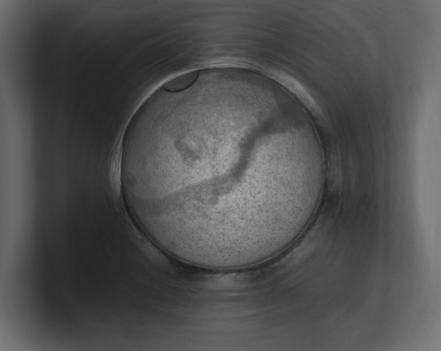 X0000100481228200806271155
