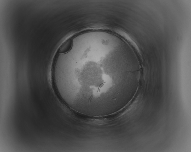 X0000100481229200806271155