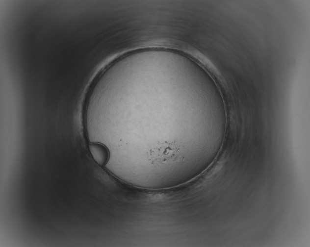 X0000100481230200806271155