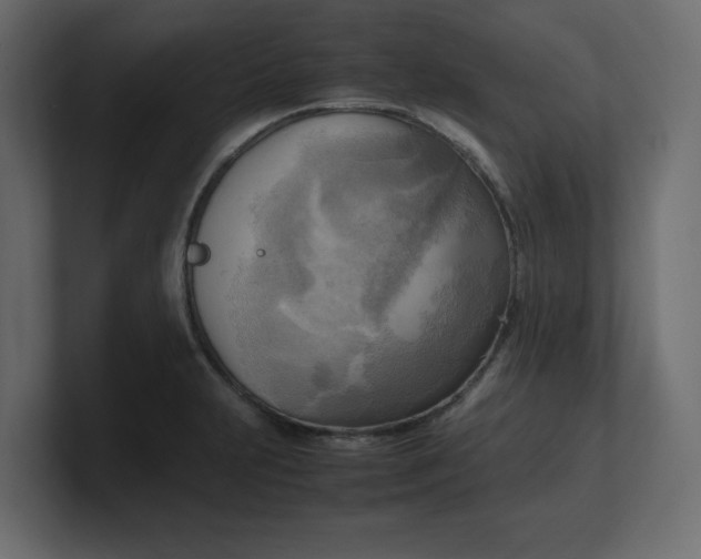 X0000100481231200806271155