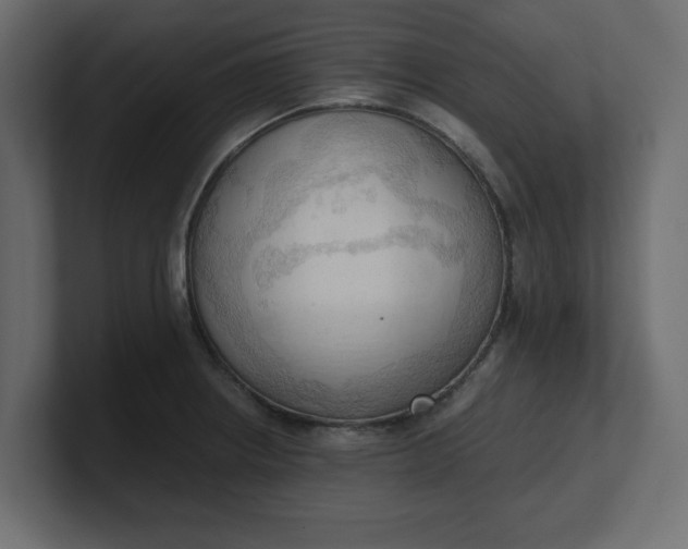 X0000100481234200806271155