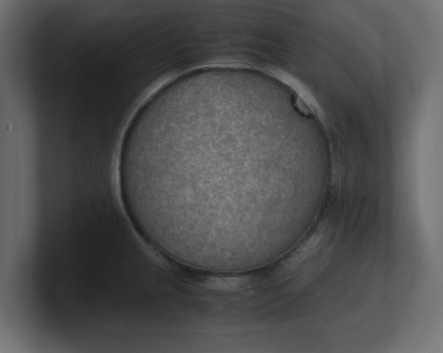 X0000100481237200806271155