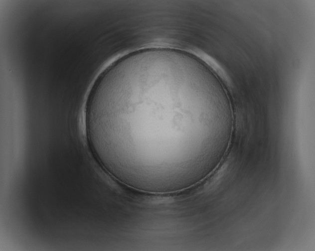 X0000100481238200806271156