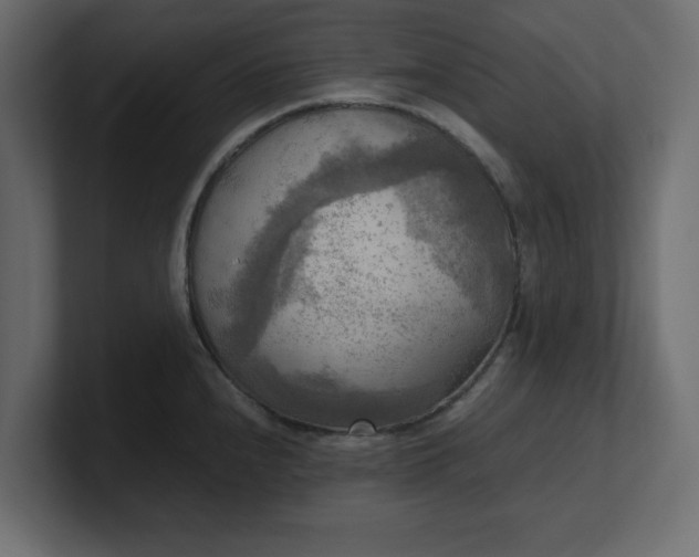X0000100481240200806271156