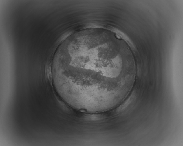 X0000100481241200806271156