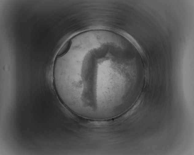X0000100481244200806271156