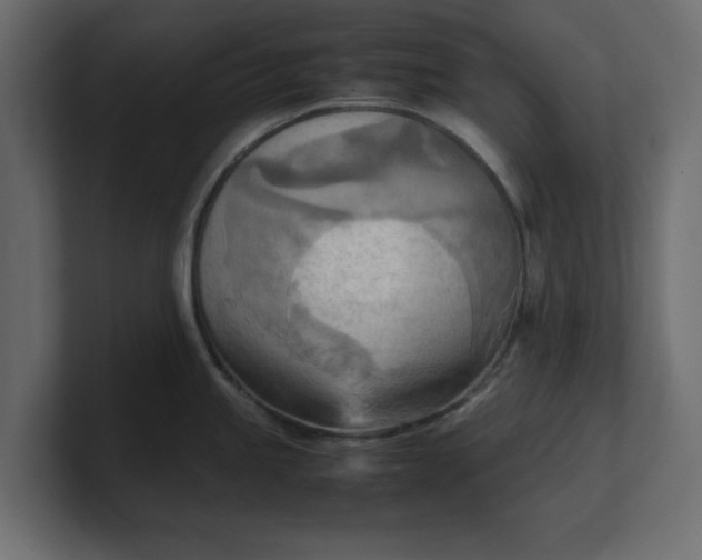 X0000100481245200806271156
