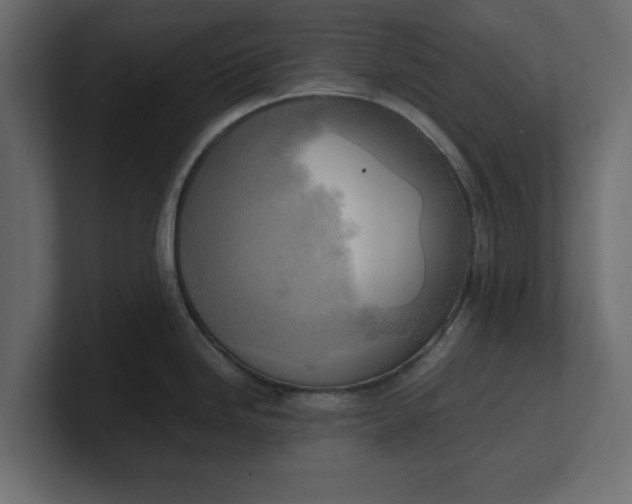 X0000100481246200806271156