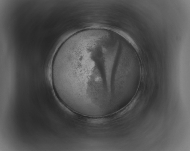 X0000100481247200806271156