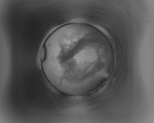 X0000100481248200806271156