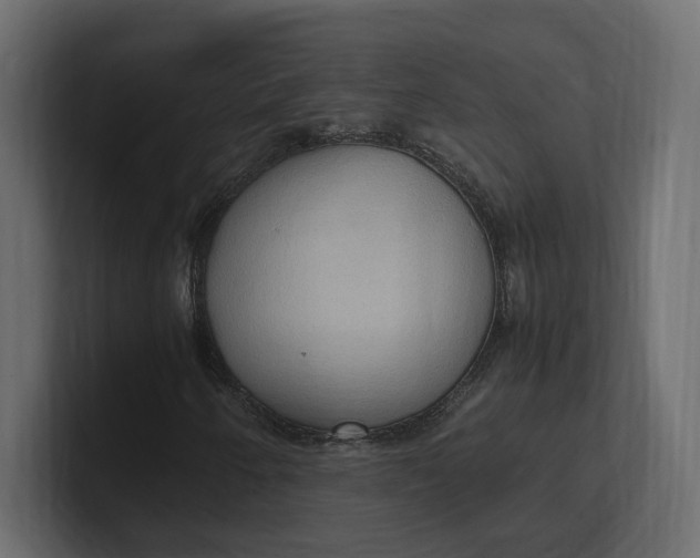 X0000100481250200806271155