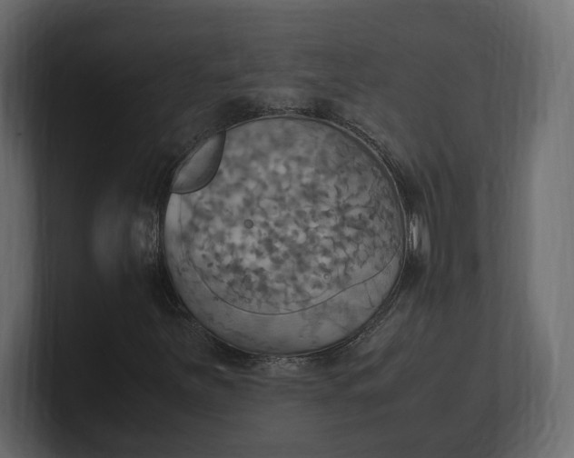 X0000100481251200806271155