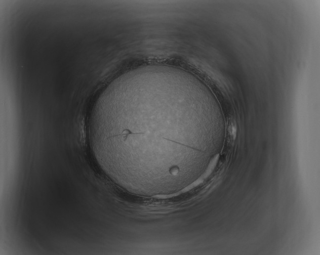 X0000100481252200806271155