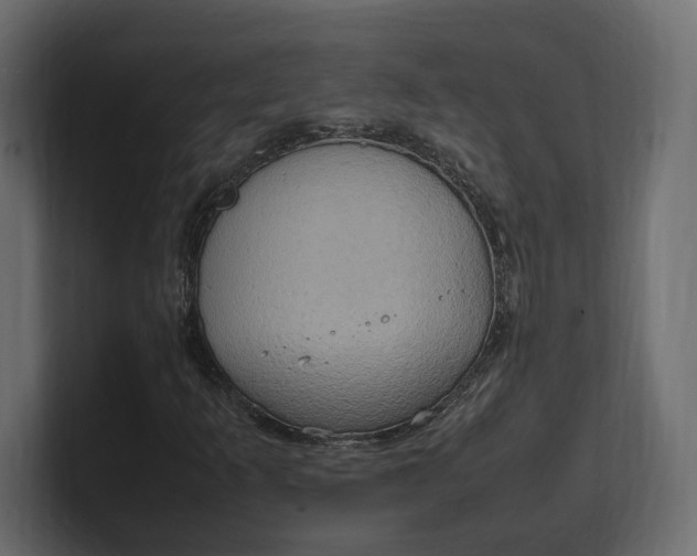 X0000100481253200806271155