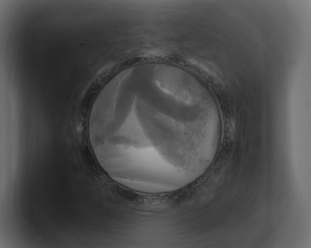 X0000100481254200806271155