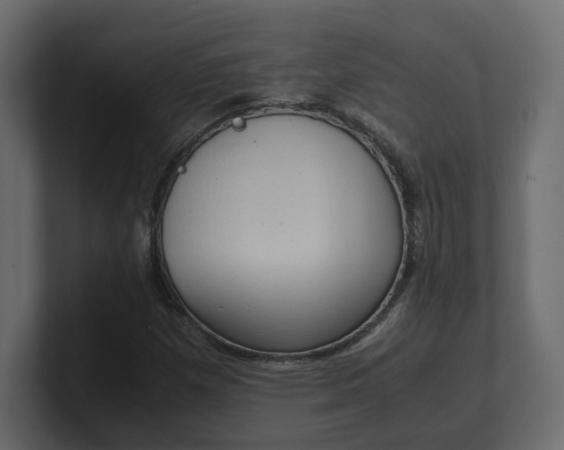 X0000100481257200806271155